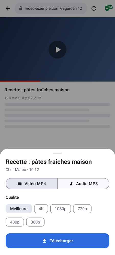 Choix du format MP4 ou MP3 et de la qualité jusqu'en 4K